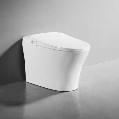 Bathroom ceramic auto washing intelligent flush toilet seat cover