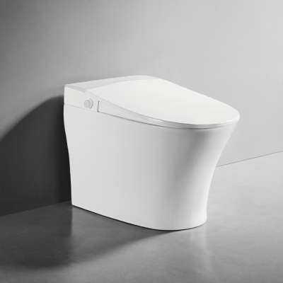 One piece elegant wash smart toilet japan